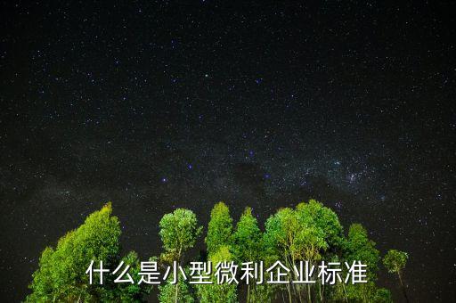 什么是小型微利企業(yè)標(biāo)準
