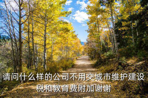 什么情況不交城建稅，什么時(shí)候不需要交納營業(yè)稅城建稅及附加