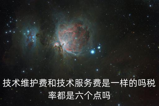 技術(shù)維護費和技術(shù)服務費是一樣的嗎稅率都是六個點嗎
