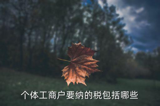 個體需要繳納什么稅，個體工商戶需要交哪些稅