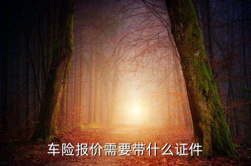 車輛保險專票需要什么，車險報價需要帶什么證件