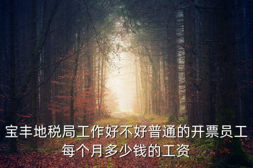 寶豐國稅局局長叫什么，寶豐三分局移動營業(yè)廳地址在哪里