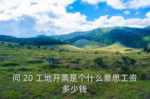 開票界面是指什么意思，會計的開票是什么意思