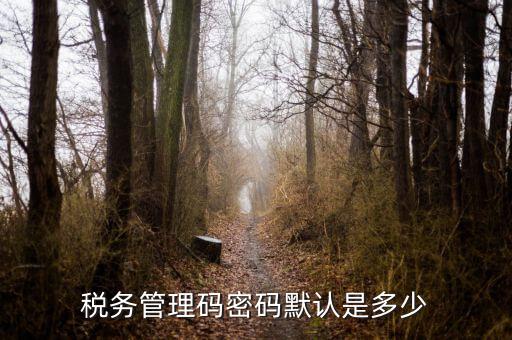 湖北國稅盤原始密碼是什么意思，湖北地稅網絡發(fā)票登陸密碼是什么急急急