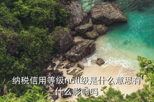 納稅信用等級是什么，納稅信用等級null級是什么意思有什么影響嗎
