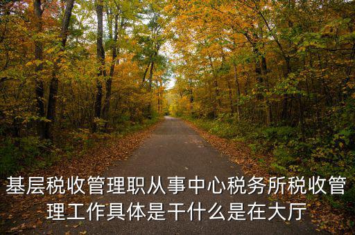 稅源管理干什么，基層稅收管理職從事中心稅務(wù)所稅收管理工作具體是干什么是在大廳