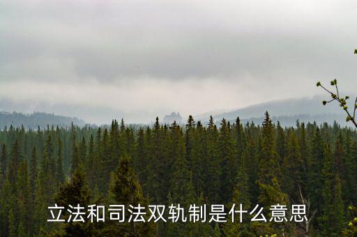 雙軌運(yùn)行什么意思，雙軌運(yùn)行解數(shù)字