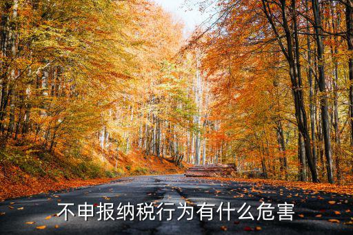 0申報(bào)稅沒有報(bào)會(huì)有什么影響，不申報(bào)納稅行為有什么危害