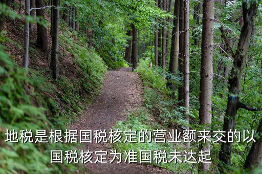 地稅定稅是根據(jù)什么定的，問題國稅和地稅的定稅依據(jù)是什么