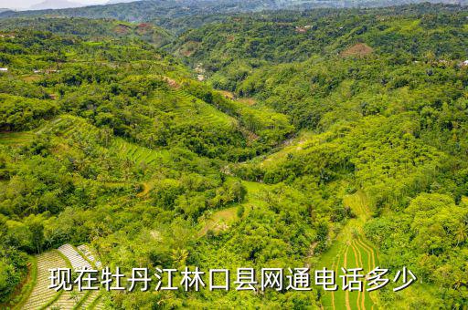 林口縣稅務(wù)局電話號碼是什么，現(xiàn)在牡丹江林口縣網(wǎng)通電話多少