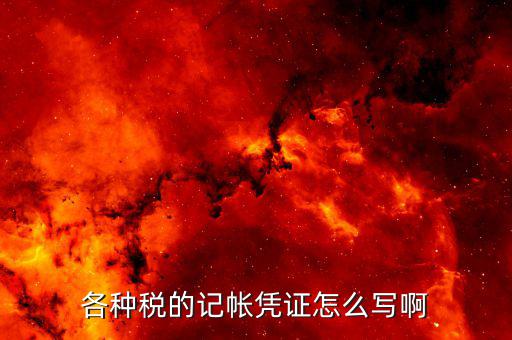 繳稅填什么憑證，應(yīng)交稅金的憑證填寫借貸方分別是