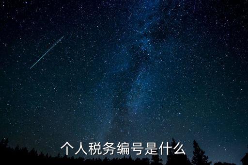 個人的稅收編號是什么，個人所得稅里面的注冊編碼是什么
