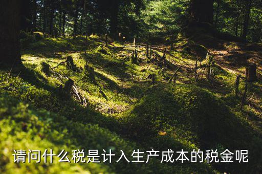 什么稅計(jì)入成本，請問什么稅是計(jì)入生產(chǎn)成本的稅金呢