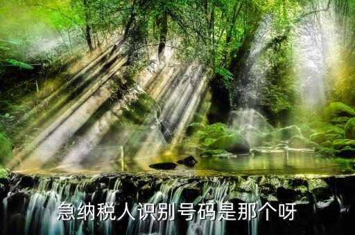 納稅人識(shí)別卡是什么，一般納稅人的IC卡的型號(hào)中JK100和JK300有什么區(qū)別