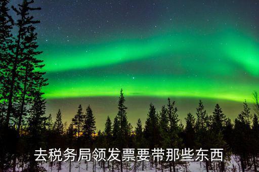 去稅務局領(lǐng)發(fā)票要帶那些東西