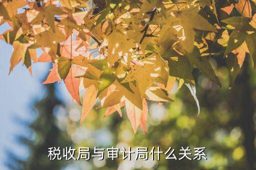 審計單位和稅務(wù)局有什么區(qū)別，審計同稅審有什么分別