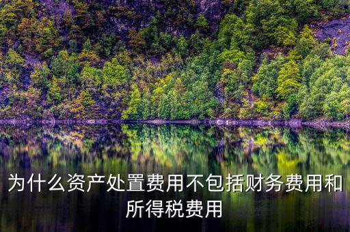 籌資費用為什么不考慮所得稅，為什么資產(chǎn)處置費用不包括財務費用和所得稅費用
