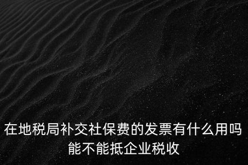 什么稅票能抵消社保費(fèi)用，輪渡費(fèi)后面有一張保險發(fā)票是可以抵扣的