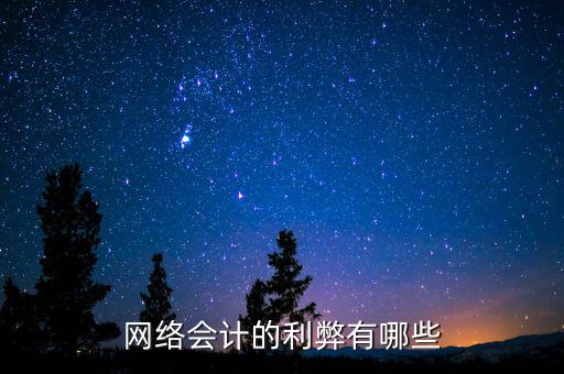 網絡會計的利弊有哪些