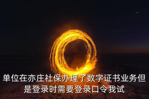 數字證書口令是什么，數字證書與口令卡是一回事嗎