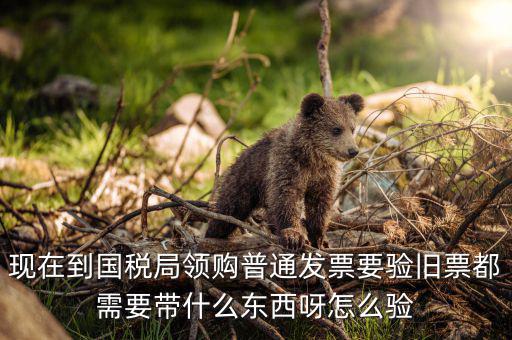 發(fā)票驗舊都需要帶什么，現(xiàn)在到國稅局領(lǐng)購普通發(fā)票要驗舊票都需要帶什么東西呀怎么驗
