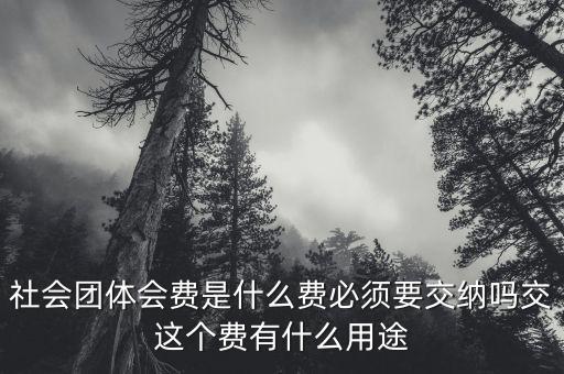 社會(huì)團(tuán)體費(fèi)是什么，誰知道工商個(gè)體協(xié)會(huì)社會(huì)團(tuán)體會(huì)員費(fèi)是什么