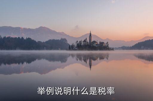 稅率說明是什么意思，稅率是什么意思
