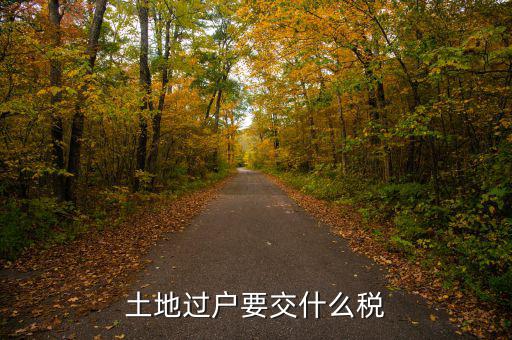 土地買賣交什么稅，土地買賣應(yīng)交的稅項