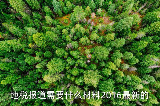 地稅報(bào)道需要什么，地稅報(bào)稅需要什么資料