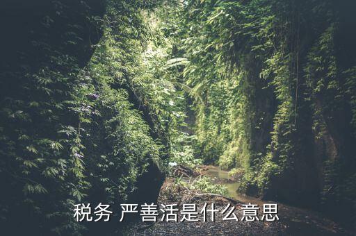 中國(guó)稅務(wù)精神是什么意思，稅務(wù)是什么意思啊學(xué)什么內(nèi)容