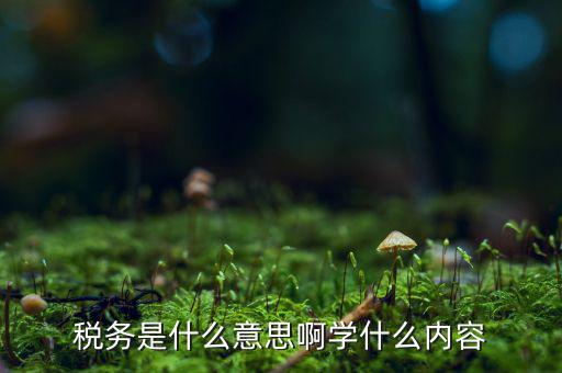 稅務(wù)是什么意思啊學什么內(nèi)容