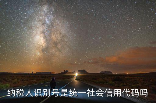 納稅人識(shí)別號(hào) 社會(huì)統(tǒng)一信用代碼是什么意思，納稅人識(shí)別號(hào)就是統(tǒng)一社會(huì)信用代碼嗎