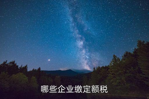 什么公司定額征稅，哪些企業(yè)繳定額稅