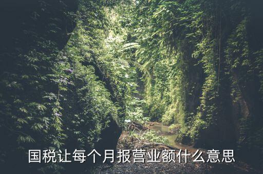 國(guó)稅每月報(bào)稅的是什么意思，請(qǐng)問(wèn)每月抄稅和報(bào)稅各是什么意思