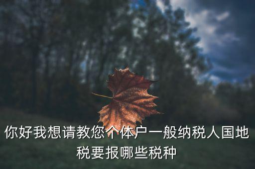 你好我想請教您個(gè)體戶一般納稅人國地稅要報(bào)哪些稅種