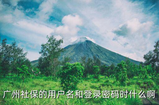 地稅社保用戶名是什么，南京這邊可以國稅扣稅款一個賬號基本戶地稅扣款比如社保