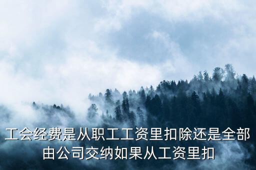 工會經(jīng)費根據(jù)什么扣除，職工工會經(jīng)費準予扣除標準為多少