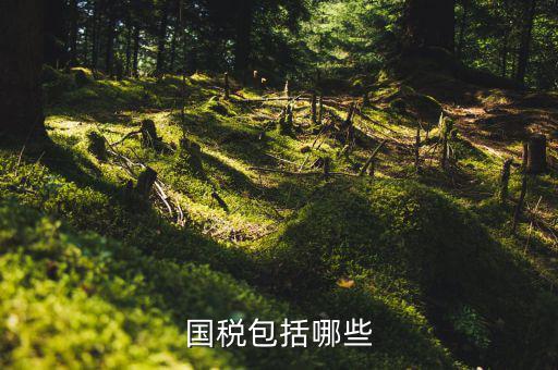 國(guó)家稅務(wù)局包括什么，國(guó)稅包括哪些