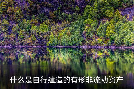 什么叫自建不動產(chǎn)，自建不動產(chǎn)不共擔(dān)風(fēng)險的投資行為