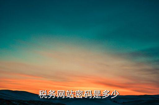 國稅網(wǎng)登錄密碼是什么，稅務(wù)局網(wǎng)站的登入賬戶初始密碼是什么