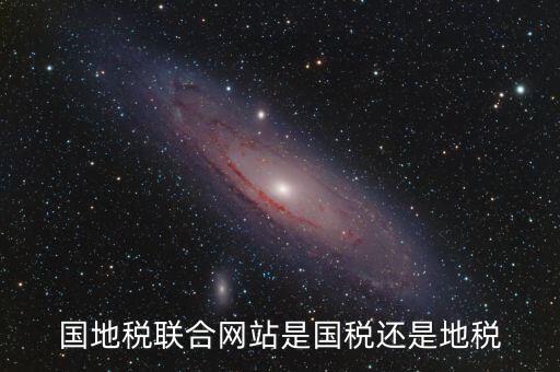 國(guó)地稅聯(lián)合辦稅是什么，國(guó)地稅聯(lián)合稅費(fèi)申報(bào)什么意思