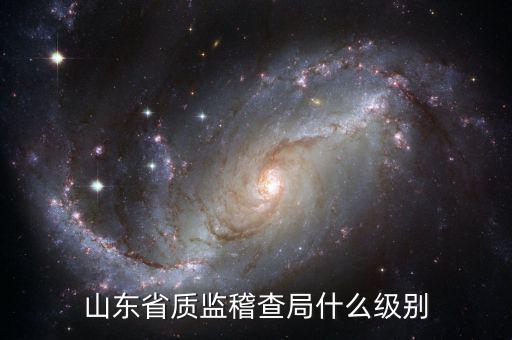 稽查局什么級(jí)別，山東省質(zhì)監(jiān)稽查局什么級(jí)別