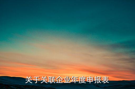 什么是關(guān)聯(lián)申報(bào)表，小規(guī)模納稅人2013年年報(bào)年度關(guān)聯(lián)企業(yè)申報(bào)表怎么填