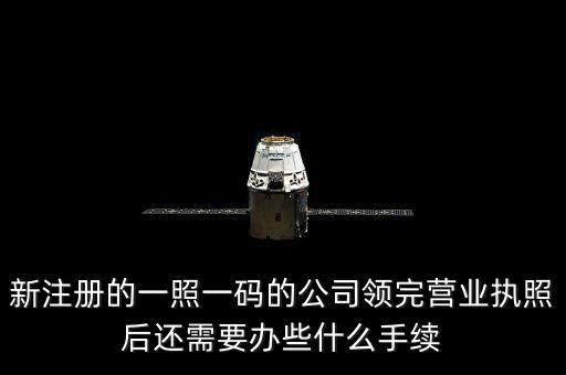一照一碼后還需辦什么，網(wǎng)上申請一照一碼必須要經(jīng)辦人的U盾嗎