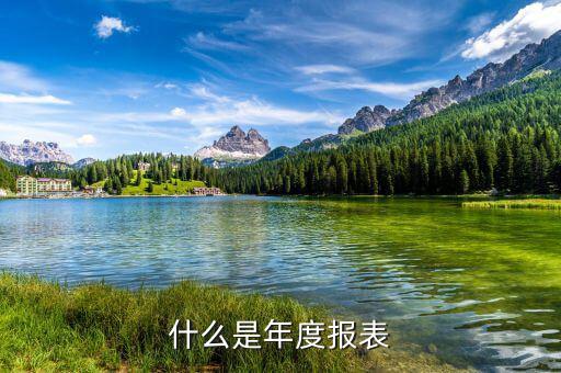 報(bào)稅的年度報(bào)表是什么意思，什么是年度報(bào)表