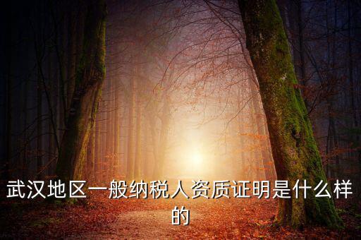 納稅資質證明是什么意思，什么是稅務證明