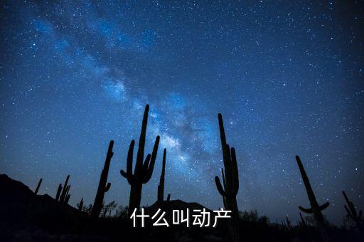 什么是動產(chǎn)登記表，什么叫動產(chǎn)