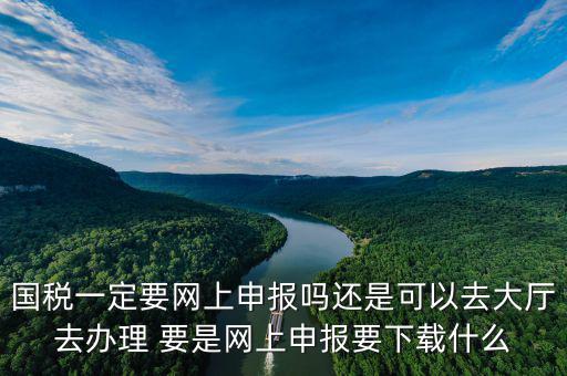 地稅進(jìn)國(guó)稅要下載什么，深圳國(guó)地稅想網(wǎng)上申報(bào)要下載什么東西嗎