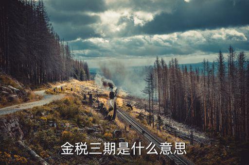 金稅三期包括什么意思，金稅三期是什么意思