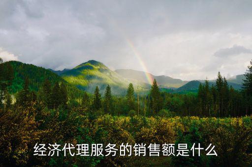 什么是經(jīng)濟(jì)代理，請(qǐng)問什么叫經(jīng)濟(jì)合同代理人